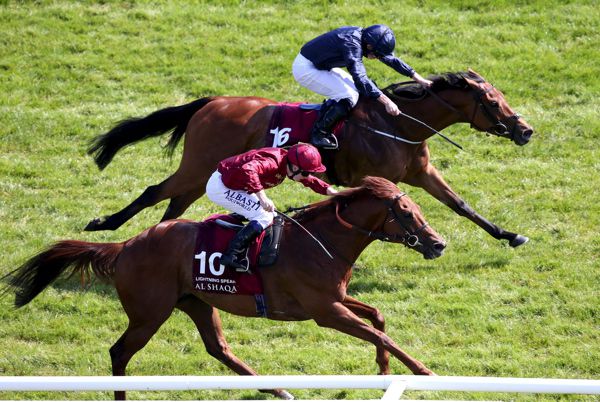 Rhododendron (far side) beating Lightning Spear in the Lockinge at Newbury
