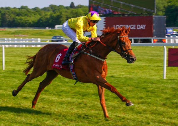 Sea Of Class