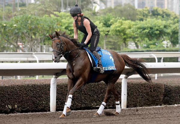 Chemical Charge exercises at Sha Tin this morning.