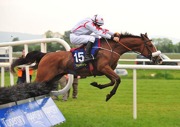 A slight mistake at the last didn't stop the Robbie Colgan ridden Guido Reni