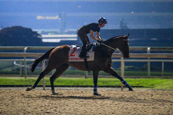 Southern Legend exercises at Kranji this morning.