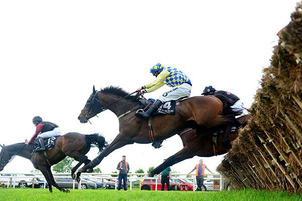 Zagnzig, near side, moves into contention in Down Royal