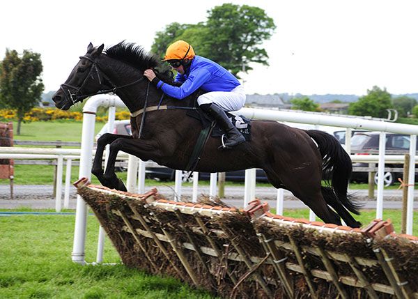 The White Volcano jumps the last under Conor Maxwell