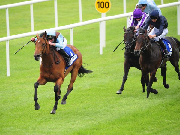 Fairyland leads Ballydoyle trio