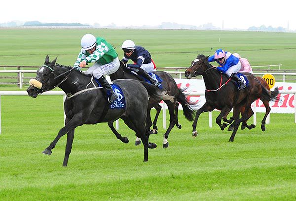 Platinum Warrior is ridden out by Shane Foley