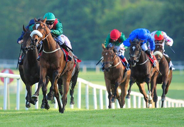 Romiyna leads them home