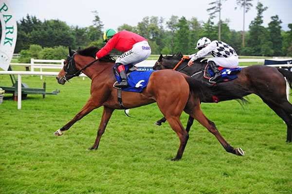 Acari (Gary Halpin, nearside) gets there in time to touch off Vitalized (Rory Cleary)