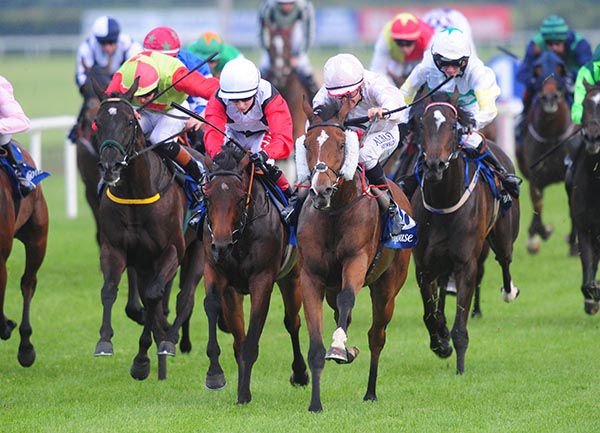 Hey Pretty (cheek-pieces)