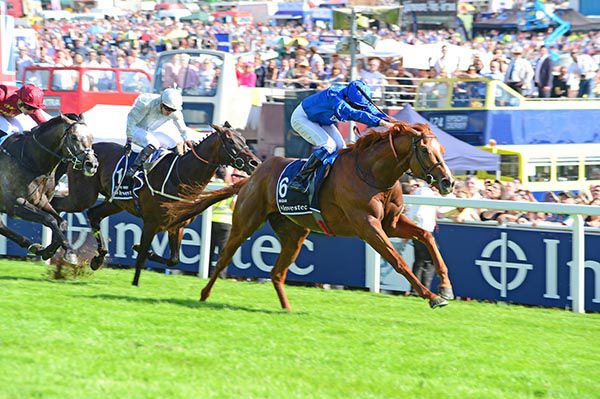 Masar winning under William Buick
