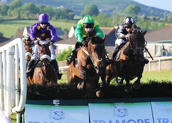 Steelambition (green & yellow) leads over the last