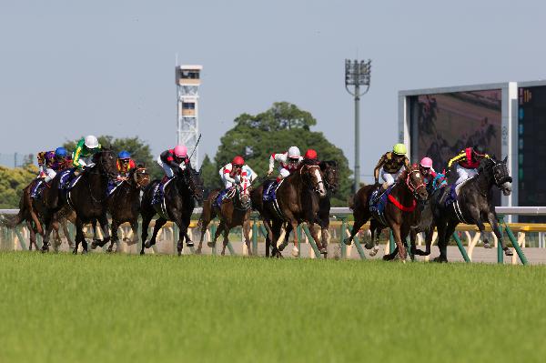Mozu Ascot (yellow cap) wins the Yasuda Kinen with Christophe Lemaire aboard. 