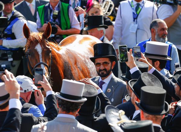 Masar with Sheikh Mohammed