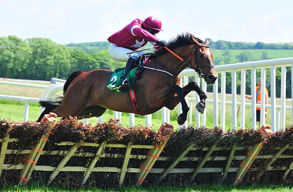 Black Key and Dylan Robinson lead over the last to win for trainer Henry de Bromhead 