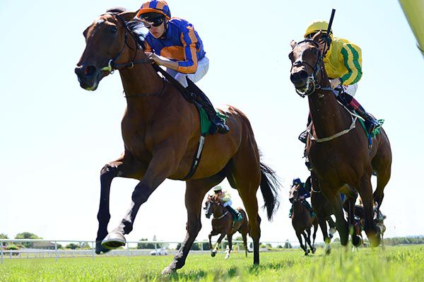 Gossamer Wings and Donnacha O'Brien win from Rita Levi and Colin Keane