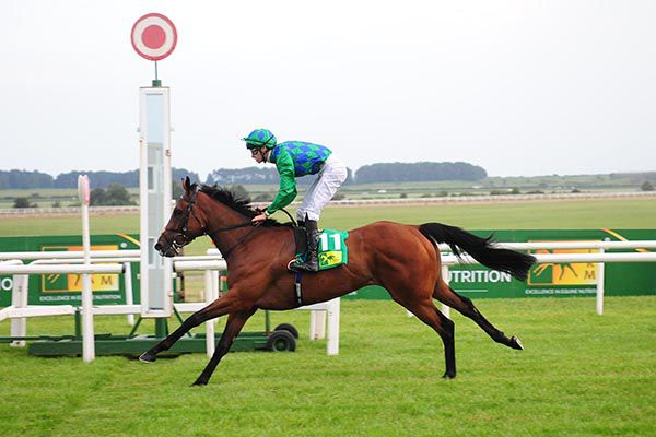 Tissiak wins nicely at the Curragh 