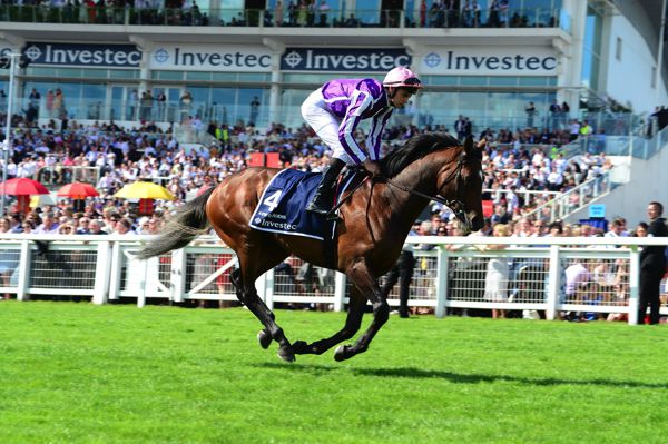 Kew Gardens - 2nd in the Ormonde Stakes
