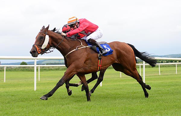 Fox Dream and Shane Crosse pictured on their way to victory