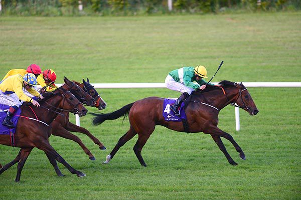 Circling Moon wins under Conor Hoban