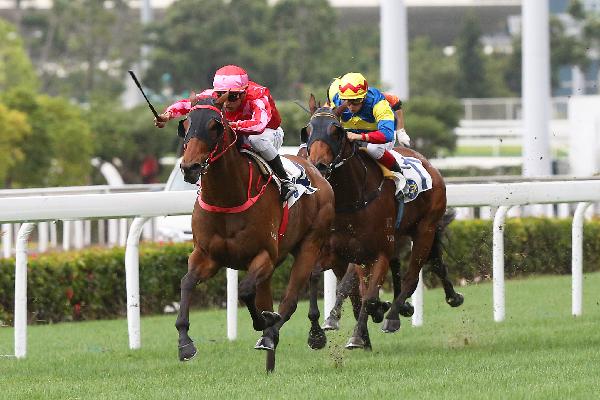 Morethanlucky scores his fourth win of the season in January 