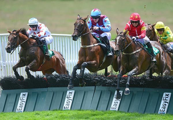 Maple Lawn, left, jumps the last in Downpatrick