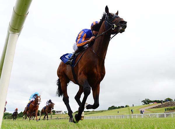 Conclusion wins well for Donnacha O'Brien