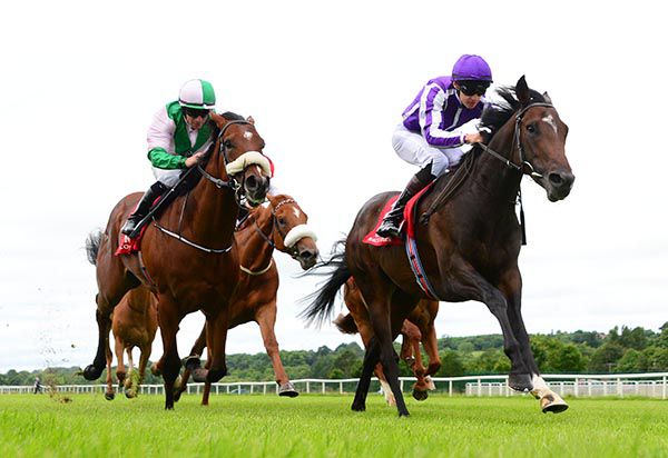 Mohawk wins under Donnacha O'Brien