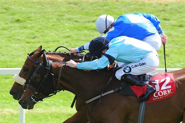 Sea The Lion, far side, and Gustavus Vassa