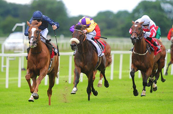 Victory Salute wins under Donnacha O'Brien at Cork