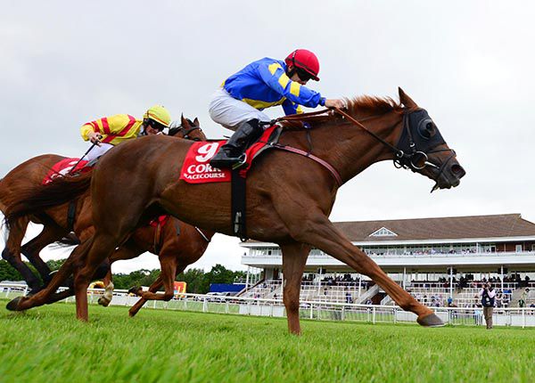 Cracking Name and Wayne Lordan