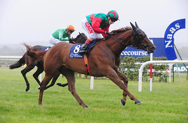 Rapid Reaction and Andrew Slattery lead home Aspen Belle and Killian Leonard