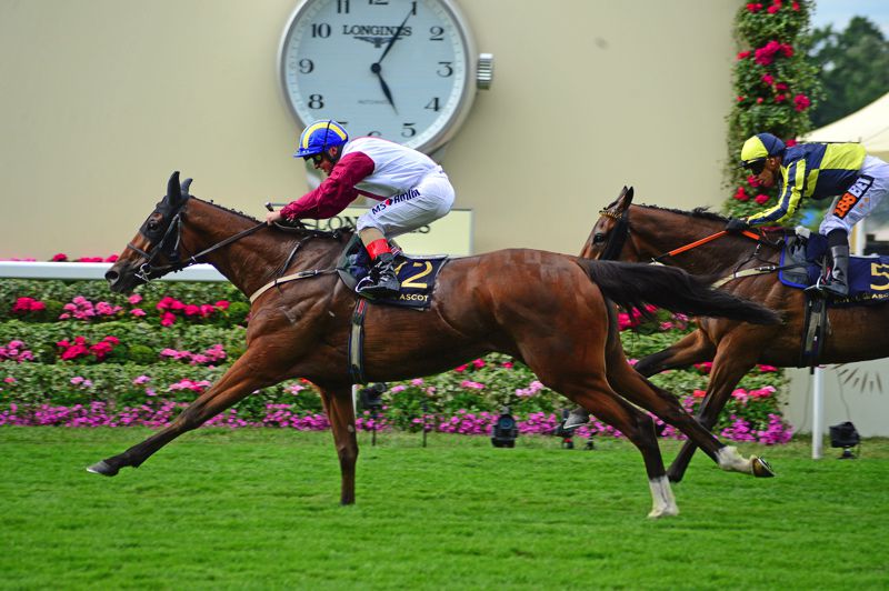 Lagostovegas was third in the Cesarewitch last year