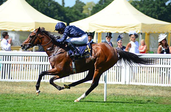 Hunting Horn could line up at Lingfield on Saturday