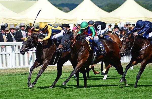  SHANG SHANG SHANG and Joel Rosario (far side) winning the 2018 Norfolk Stakes at Royal Ascot for trainer Wesley Ward 