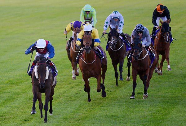 Hello Brigette scores under Gary Halpin