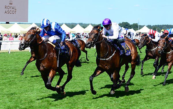 Eqtidaar is ridden out by Jim Crowley to beat Sands Of Mali (purple cap)