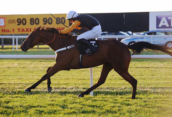 Not The Chablis is ridden out by Mark O'Hare