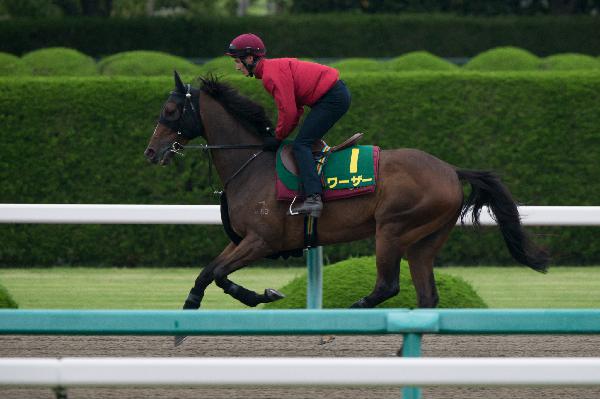 Werther has an easy morning ahead of the Takarazuka Kinen.