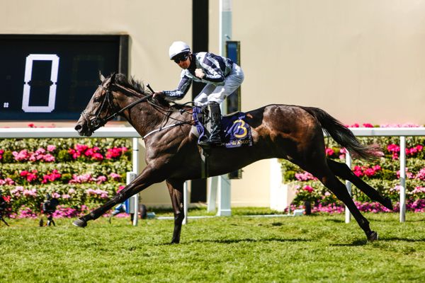 Alpha Centauri (Colm O'Donoghue) winning at Royal Ascot