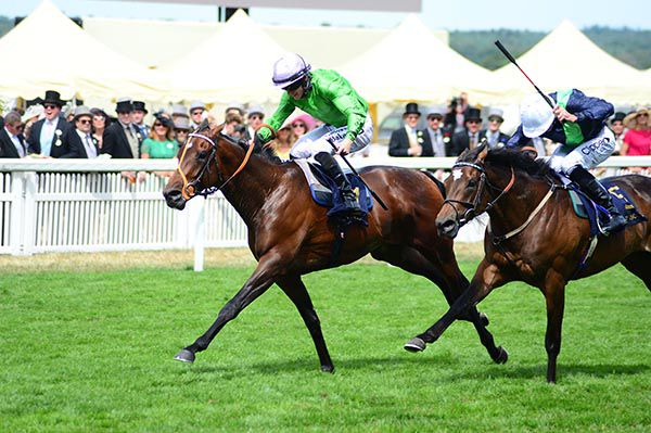 Arthur Kitt prevails under Richard Kingscote