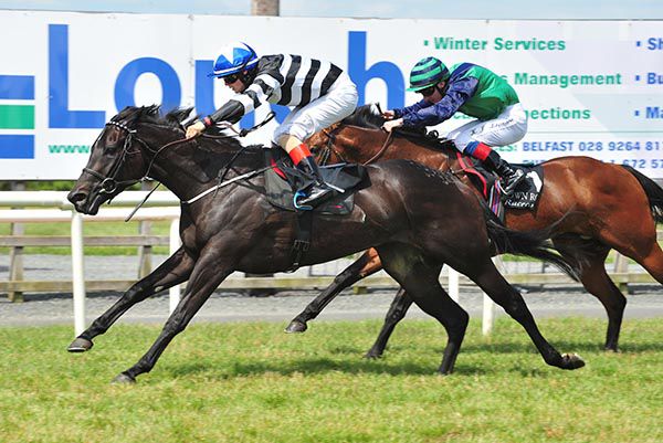 Soffia beating Abstraction at  Down Royal last month