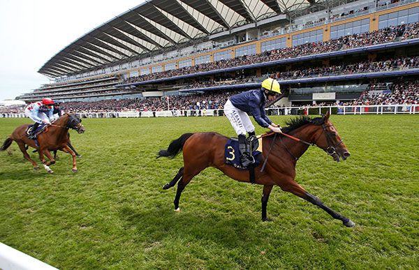 Crystal Ocean winning the Hardwicke Stakes at Royal Ascot