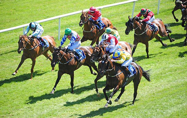 Path Of Silver, near side, finishes strongest