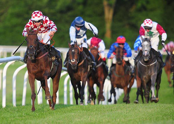 Under Surveillance is ridden out by Conor Orr