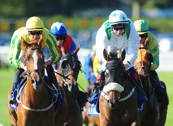 Ruler Of France, white and green, in action at Ballinrobe