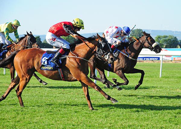 High Kicker (far-side) just prevails from Easy Boy.  The winner was ridden by Ronan Whelan