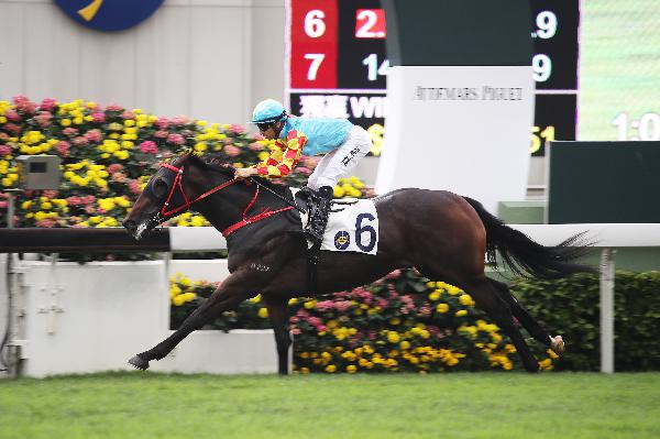 Joao Moreira will aim for a second win on Mission Tycoon.