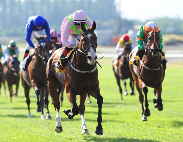 Low Sun will be ridden by Ryan Moore in the Chester Cup