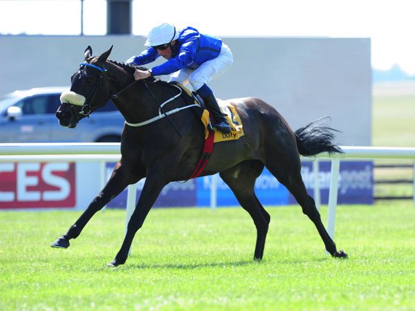 Petticoat is one three Mick Halford trained runners in the line-up