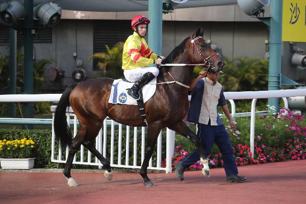 Rivet is set to make his Happy Valley debut on Wednesday.