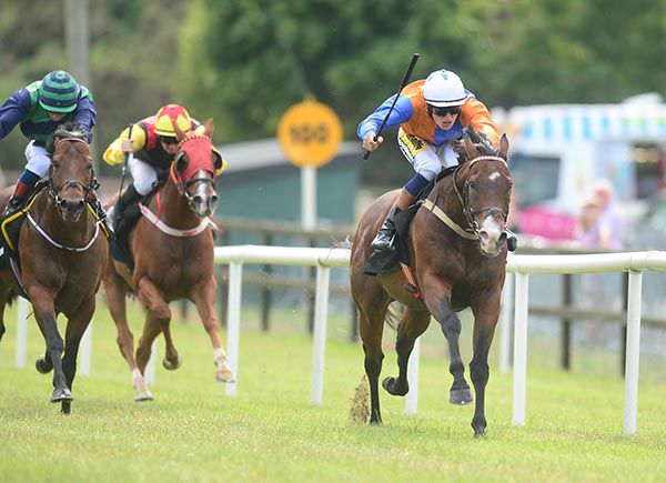 Plough Boy is ridden out by Donagh O'Connor